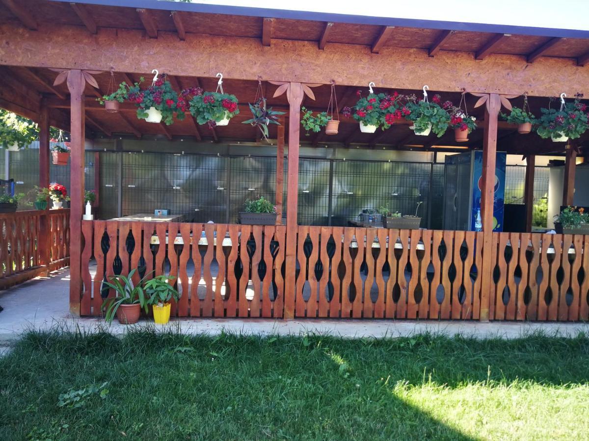 Vila Baciu Hotell Tuzla Exteriör bild